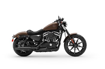 Harley-Davidson Sportster XL 883 N Iron 2019 - Bild 5 Harley-Davidson Sportster XL 883 N Iron 2019 - Bild 5