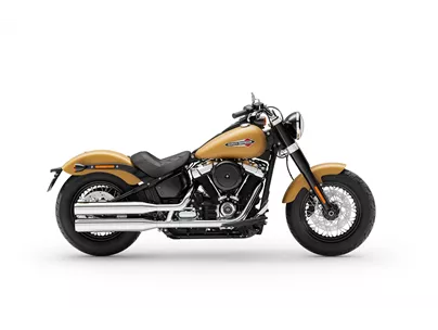 Harley-Davidson Softail Slim FLSL 2019 Harley-Davidson Softail Slim FLSL 2019