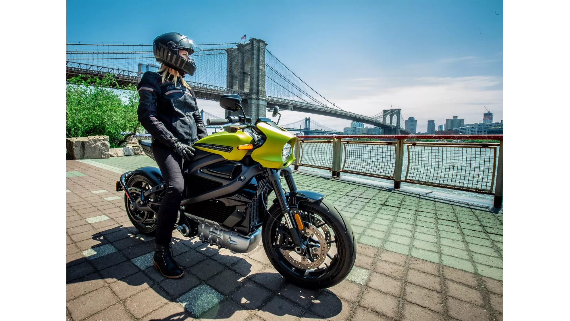 Harley-Davidson LiveWire ELW - Image 22 Harley-Davidson LiveWire ELW - Image 22