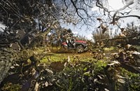 CFMOTO ZForce 800 EX V2 EFI 4x4 2019 - Bild 6