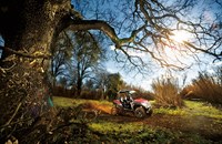 CFMOTO ZForce 800 EX V2 EFI 4x4 2019 - Bild 11