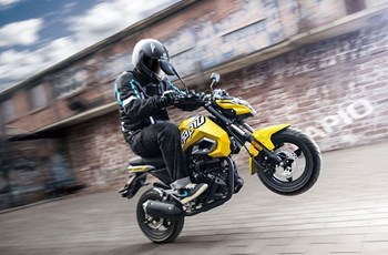 CFMOTO Papio 125 2019 - Bild 2