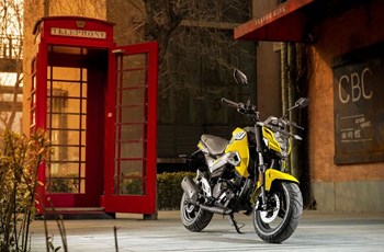 CFMOTO Papio 125 2019 - Bild 14