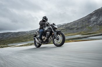 Honda CB500F 2019 - Bild 8 Honda CB500F 2019 - Bild 8