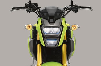 Honda MSX 125 2019 - Bild 10 Honda MSX 125 2019 - Bild 10