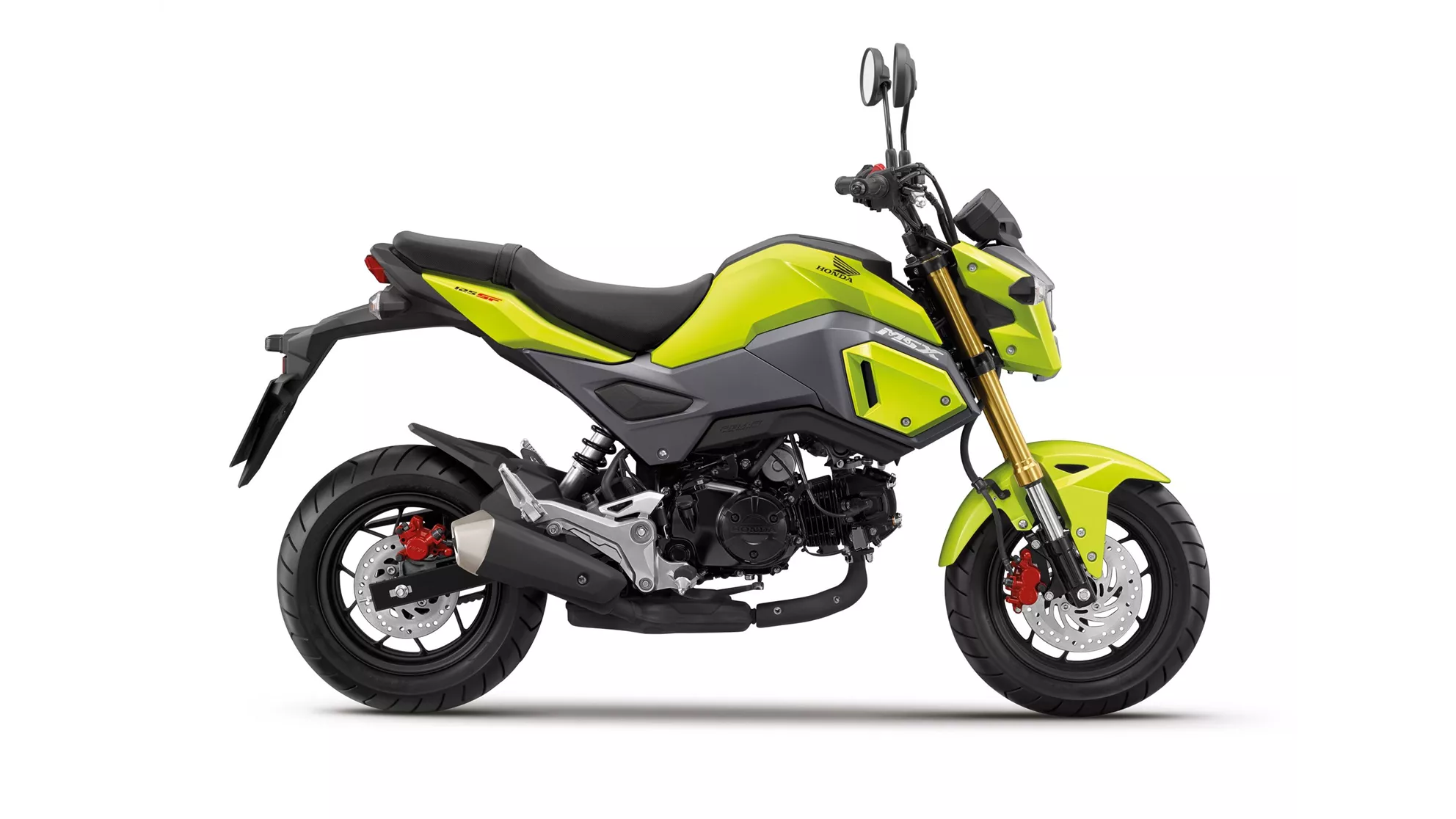 Honda MSX 125 - Image 10 Honda MSX 125 - Image 10
