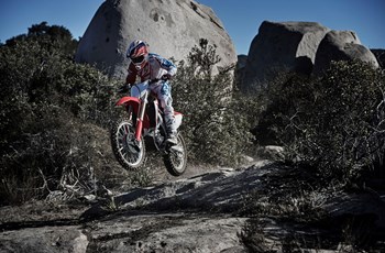 Honda CRF 450 RX 2019 - Bild 2 Honda CRF 450 RX 2019 - Bild 2