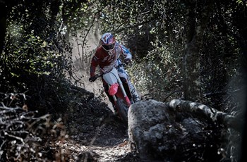 Honda CRF 450 RX 2019 - Bild 7 Honda CRF 450 RX 2019 - Bild 7