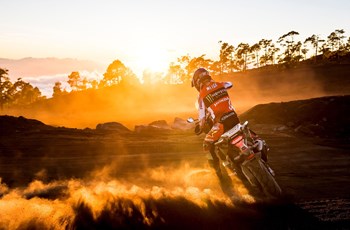 Honda X-ADV 2019 - Bild 31 Honda X-ADV 2019 - Bild 31