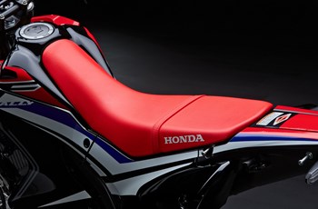 Honda CRF250 Rally 2019 - Bild 6 Honda CRF250 Rally 2019 - Bild 6