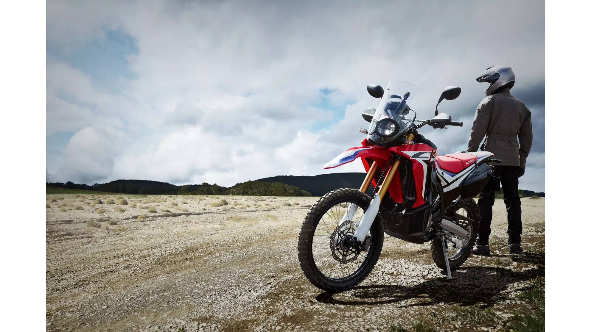 Honda CRF250 Rally - Image 14 Honda CRF250 Rally - Image 14