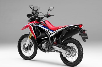 Honda CRF250 Rally 2019 - Bild 26 Honda CRF250 Rally 2019 - Bild 26