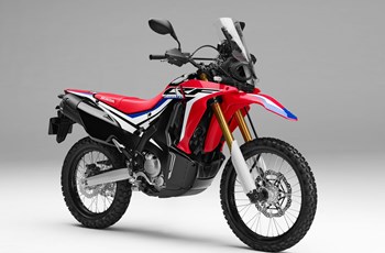 Honda CRF250 Rally 2019 - Bild 29 Honda CRF250 Rally 2019 - Bild 29