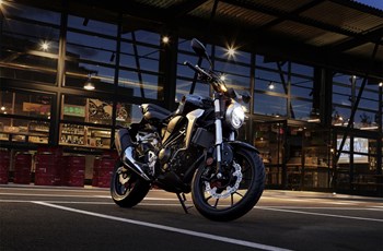 Honda CB300R 2019 - Bild 9
