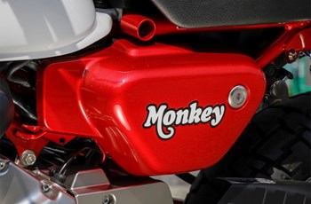Honda Monkey 125 2019 - Bild 20 Honda Monkey 125 2019 - Bild 20