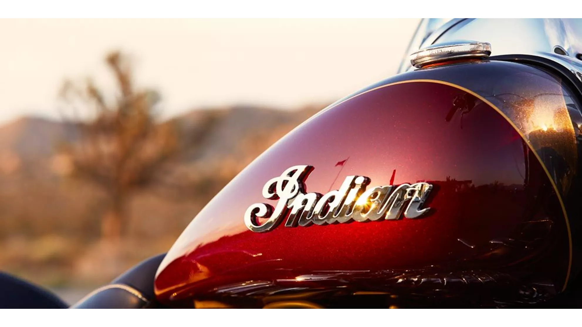 Indian Springfield - Image 6 Indian Springfield - Image 6