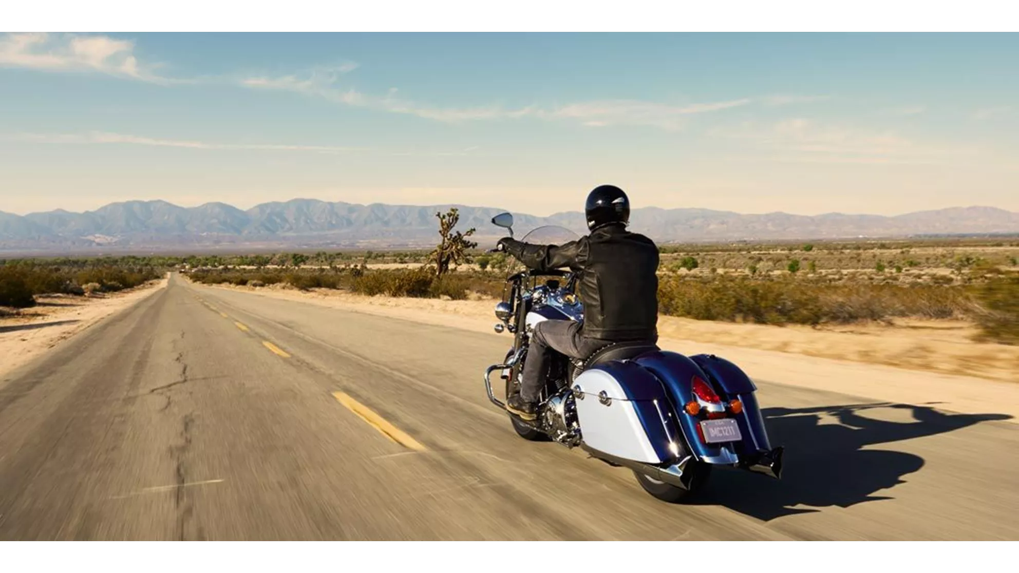 Indian Springfield - Image 8 Indian Springfield - Image 8