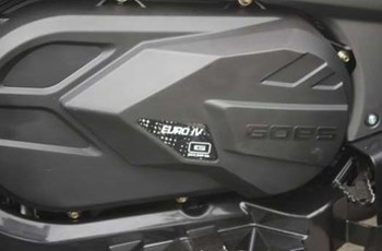 Goes Cobalt Max LTD EPS 2019 - Bild 10