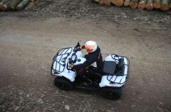 Goes Cobalt Max LTD EPS 2019 - Bild 22