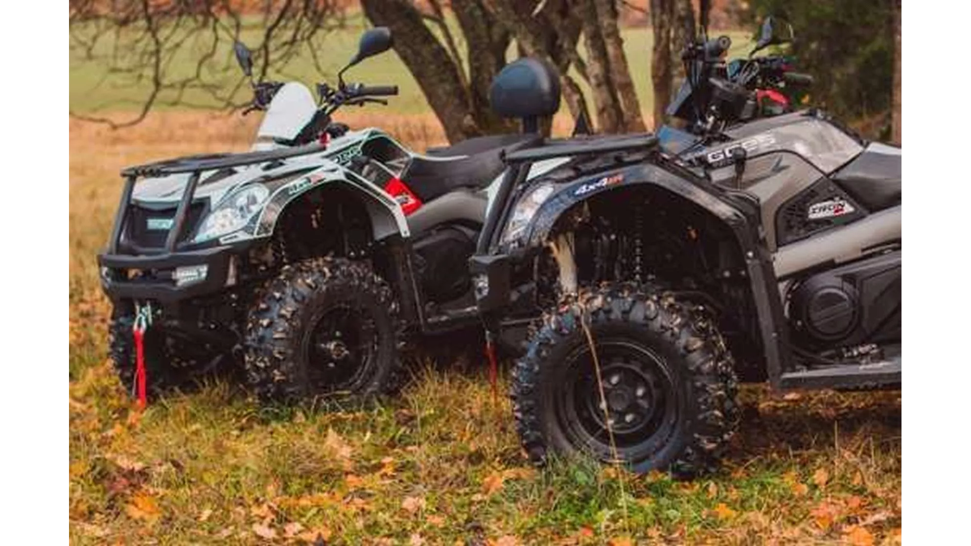 Goes Iron - Image 17 Goes Iron - Image 17