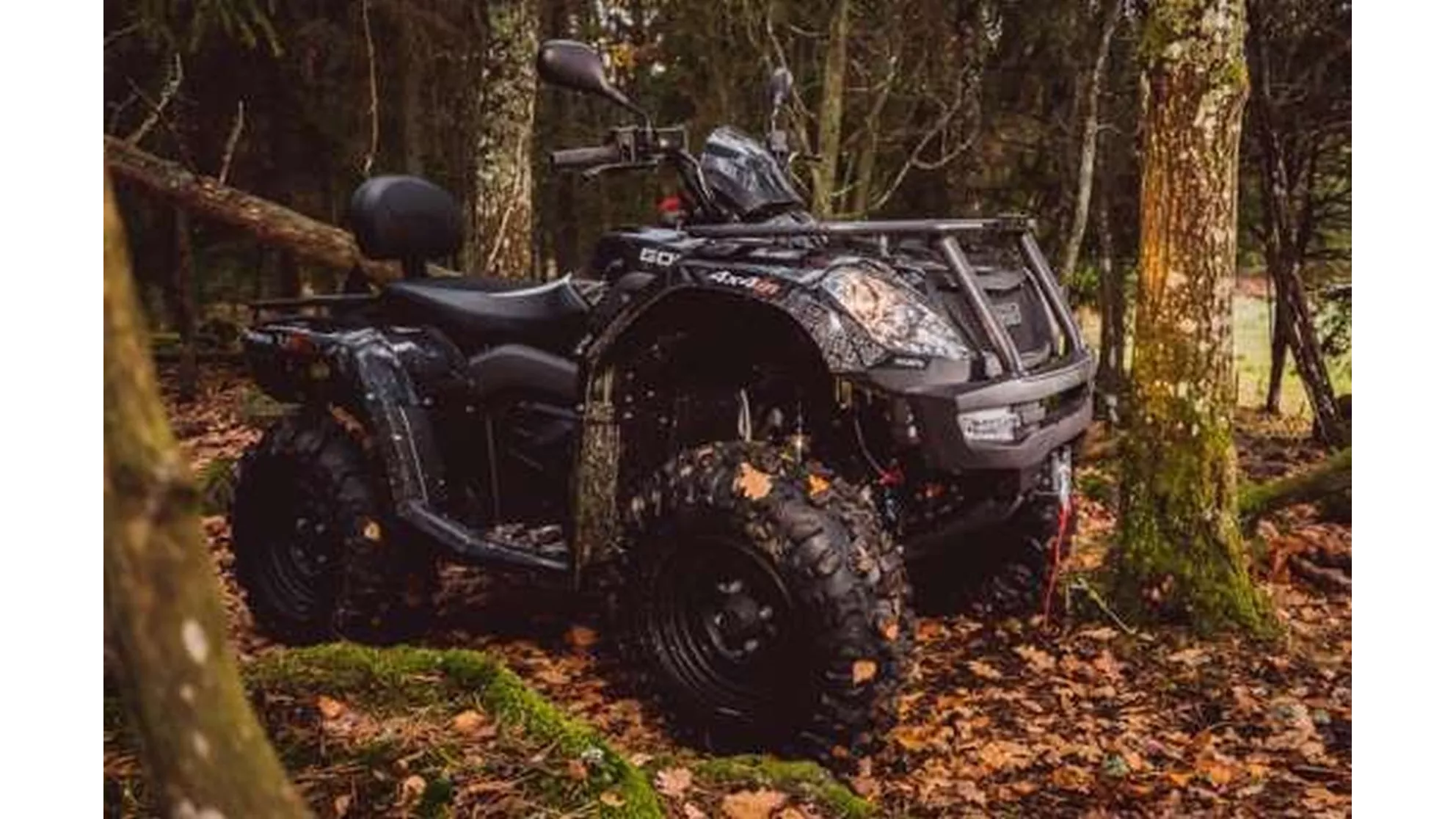 Goes Iron - Image 23 Goes Iron - Image 23