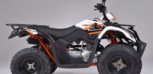 Kymco Maxxer 250 2012 vs Goes Copper 2019