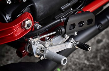 Moto Guzzi V7 III Racer 2019 - Bild 14