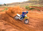 Suzuki RM-Z450