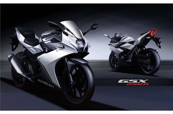 Suzuki GSX250R 2019 - Bild 15 Suzuki GSX250R 2019 - Bild 15