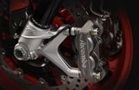 MV Agusta Brutale 800 RC 2019 - Bild 15