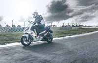 Peugeot Speedfight 4 R-Cup 2019 - Bild 5