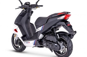 Peugeot Speedfight 4 R-Cup 2019 - Bild 3 Peugeot Speedfight 4 R-Cup 2019 - Bild 3