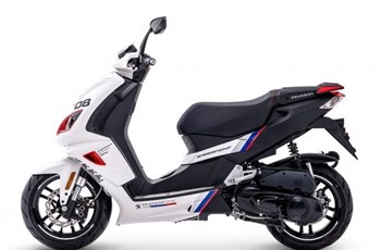 Peugeot Speedfight 4 R-Cup 2019 - Bild 4 Peugeot Speedfight 4 R-Cup 2019 - Bild 4