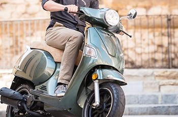 Online Memory FL 2019 - Bild 5 Online Memory FL 2019 - Bild 5