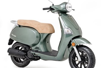 Online Memory FL 2019 - Bild 2 Online Memory FL 2019 - Bild 2