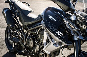 Triumph Tiger 800 XRx 2019 - Bild 6 Triumph Tiger 800 XRx 2019 - Bild 6