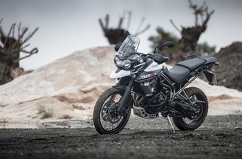 Triumph Tiger 800 XCx 2019 - Bild 15 Triumph Tiger 800 XCx 2019 - Bild 15