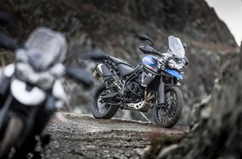 Triumph Tiger 800 XCx 2019 - Bild 19 Triumph Tiger 800 XCx 2019 - Bild 19