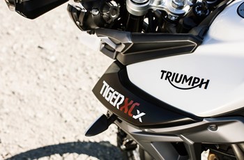 Triumph Tiger 800 XCx 2019 - Bild 30 Triumph Tiger 800 XCx 2019 - Bild 30