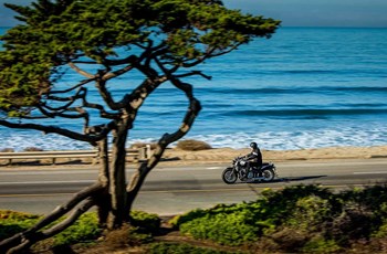 Triumph Bonneville Speedmaster 2019 - Bild 22 Triumph Bonneville Speedmaster 2019 - Bild 22