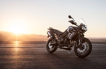 Triumph Tiger 800 XRx Low 2019 - Bild 6 Triumph Tiger 800 XRx Low 2019 - Bild 6