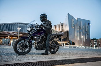 Triumph Tiger 800 XRx Low 2019 - Bild 8 Triumph Tiger 800 XRx Low 2019 - Bild 8