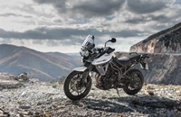 Triumph Tiger 800 XRx Low 2019 - Bild 27 Triumph Tiger 800 XRx Low 2019 - Bild 27
