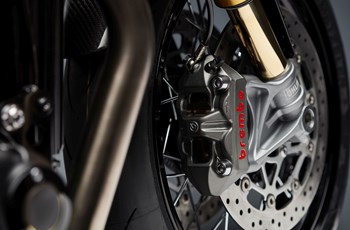 Triumph Thruxton TFC 2019 - Bild 16