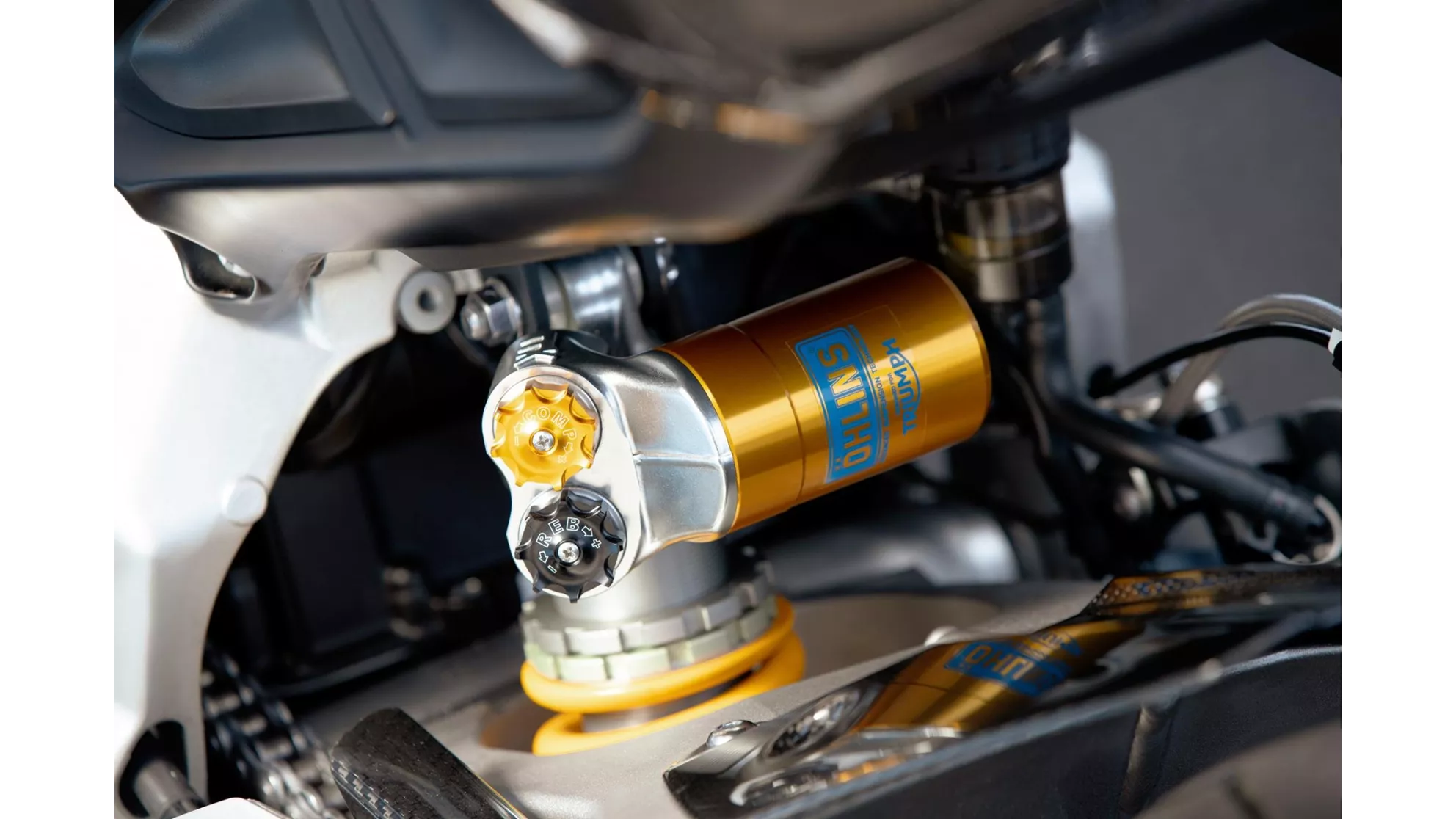 Triumph Daytona 765 Moto2 - Image 3 Triumph Daytona 765 Moto2 - Image 3