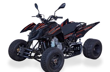 Access AMS 4.38 SM 2019 - Bild 4