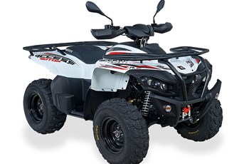 Access AMX 8.57 Basic 2019 - Bild 3