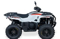 Access AMX 8.57 Basic 2019 - Bild 9