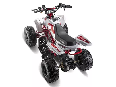 Access MiniSport 110 2019 Access MiniSport 110 2019