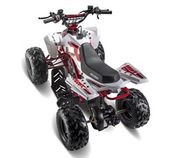 Access MiniSport 110 2019